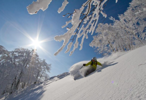 Ski Around Japan